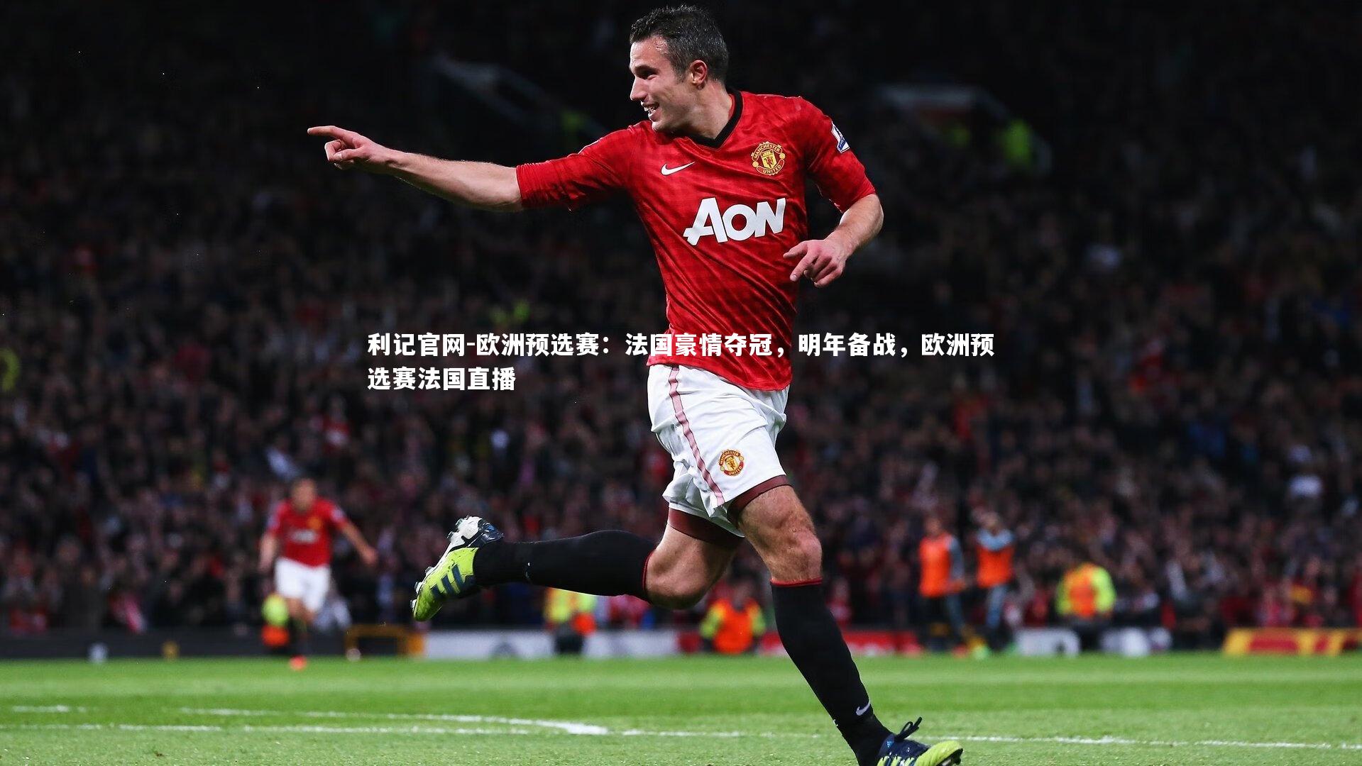 欧洲预选赛：法国豪情夺冠，明年备战，欧洲预选赛法国直播